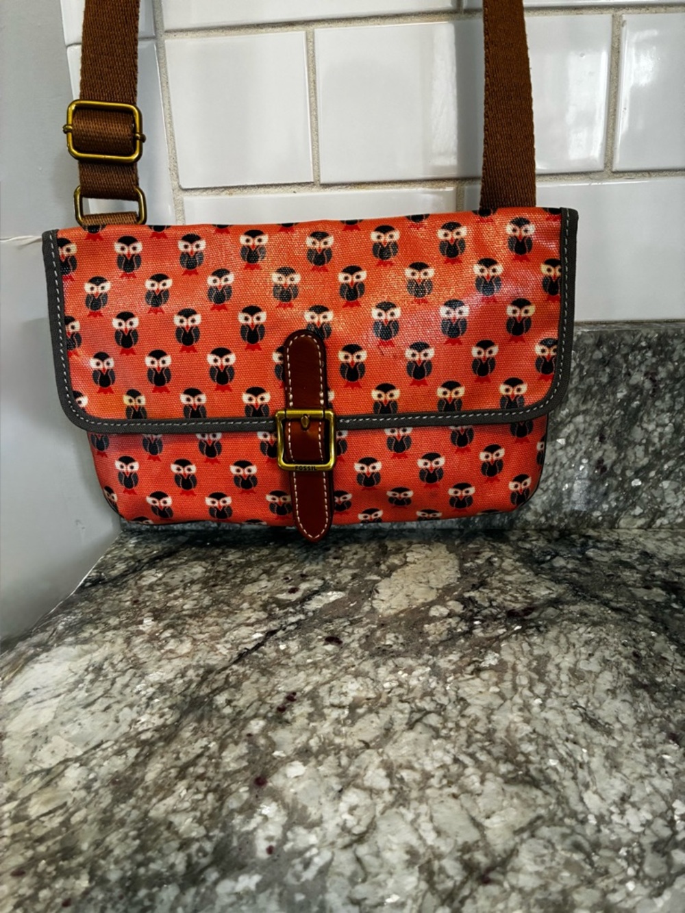 Fossil Owl Print Crossbody - Picture 4 of 15